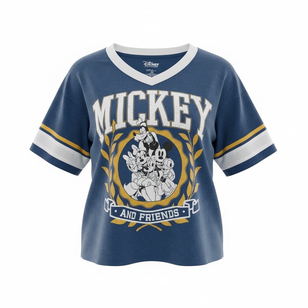 Disney Mickey & Friends Women’s Cropped Oversized Tee Size 2x Vneck
